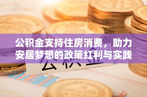盐埔公积金支持住房消费，助力安居梦想的政策红利与实践