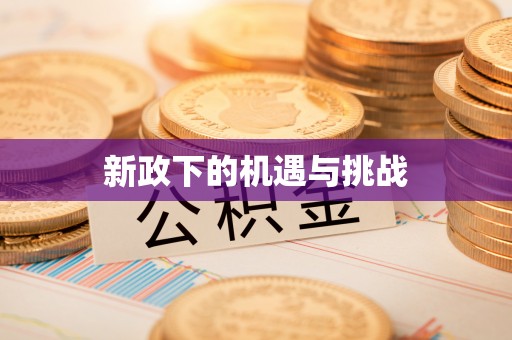 盐埔新政下的机遇与挑战