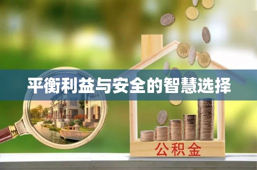 盐埔平衡利益与安全的智慧选择
