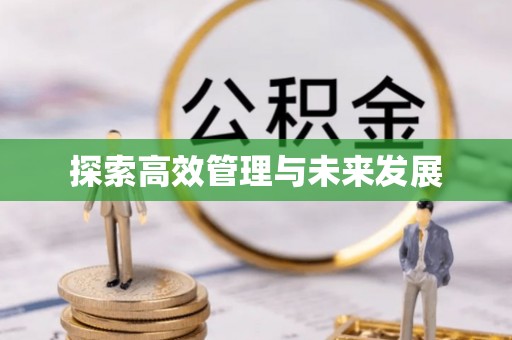 盐埔探索高效管理与未来发展