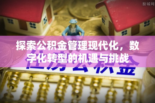 盐埔探索公积金管理现代化，数字化转型的机遇与挑战