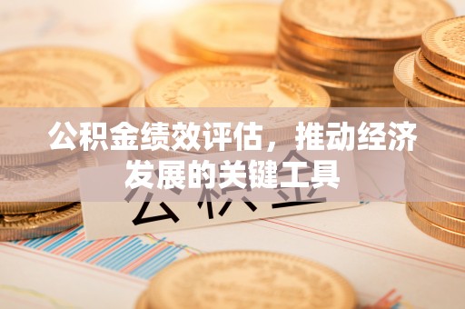 盐埔公积金绩效评估，推动经济发展的关键工具