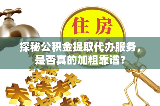盐埔探秘公积金提取代办服务，是否真的加粗靠谱？