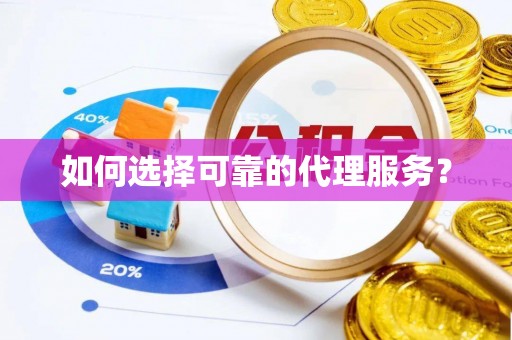盐埔如何选择可靠的代理服务？