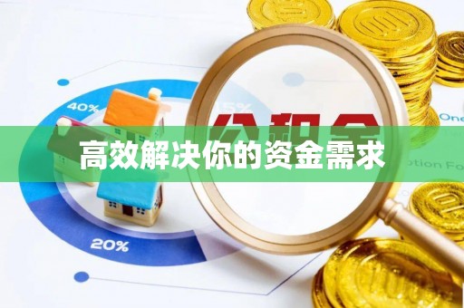 盐埔高效解决你的资金需求