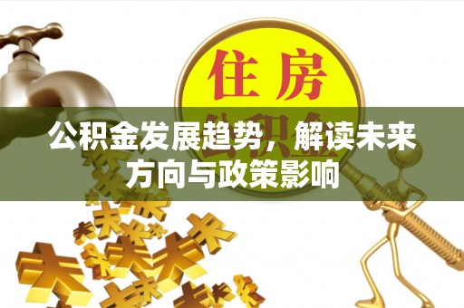 盐埔公积金发展趋势，解读未来方向与政策影响