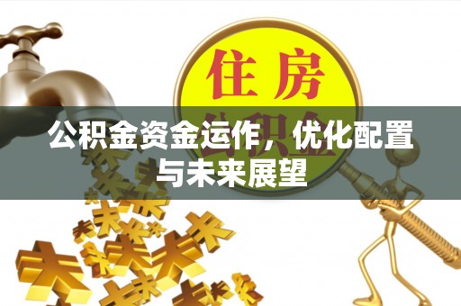 盐埔公积金资金运作，优化配置与未来展望
