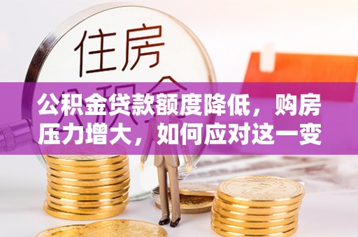 盐埔公积金贷款额度降低，购房压力增大，如何应对这一变化？