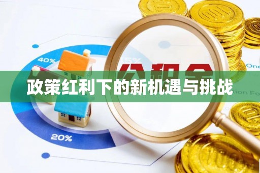 盐埔政策红利下的新机遇与挑战