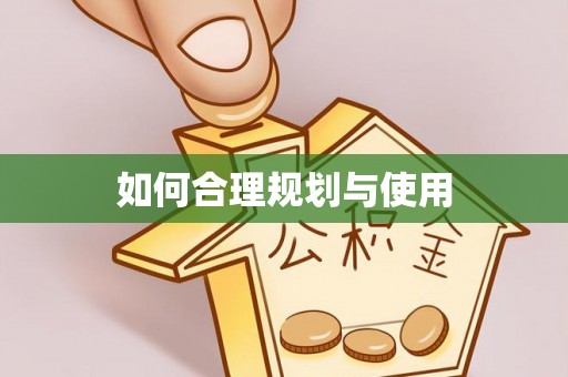 盐埔如何合理规划与使用