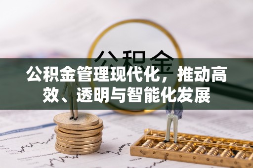盐埔公积金管理现代化，推动高效、透明与智能化发展
