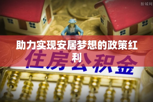 盐埔助力实现安居梦想的政策红利