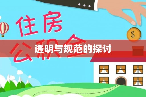 盐埔透明与规范的探讨