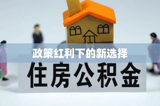 盐埔政策红利下的新选择