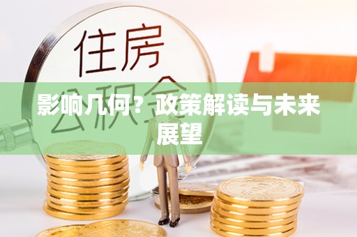 盐埔影响几何？政策解读与未来展望