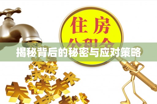 盐埔揭秘背后的秘密与应对策略