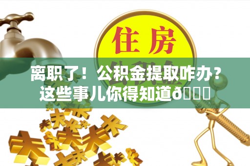 盐埔离职了！公积金提取咋办？这些事儿你得知道😎