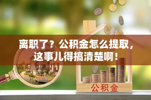 盐埔离职了？公积金怎么提取，这事儿得搞清楚啊！