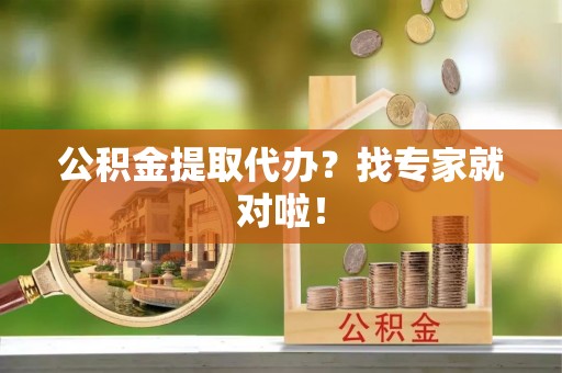 盐埔公积金提取代办？找专家就对啦！