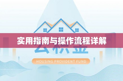 盐埔实用指南与操作流程详解