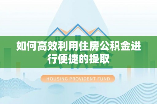 盐埔如何高效利用住房公积金进行便捷的提取