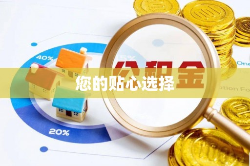 盐埔您的贴心选择
