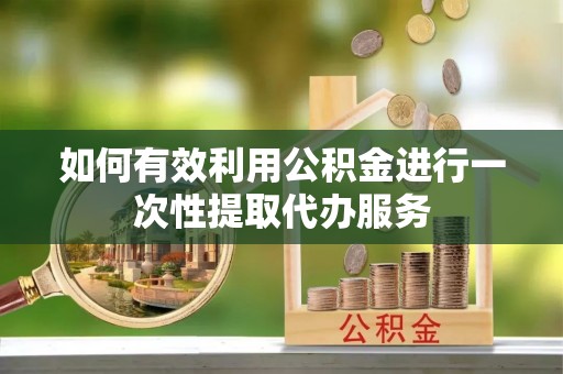 盐埔如何有效利用公积金进行一次性提取代办服务