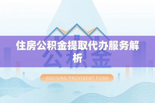 盐埔住房公积金提取代办服务解析