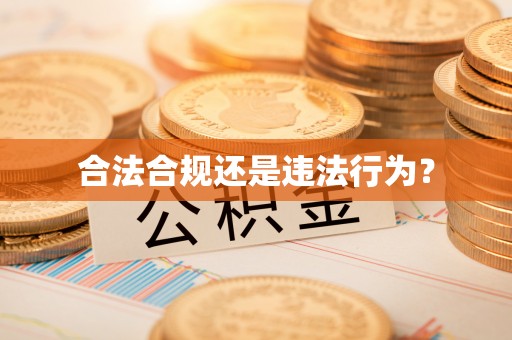 盐埔合法合规还是违法行为？
