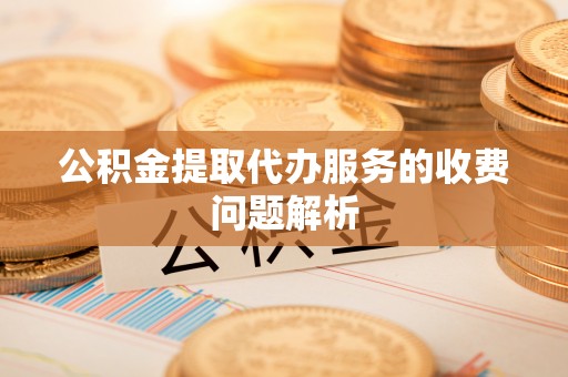 盐埔公积金提取代办服务的收费问题解析