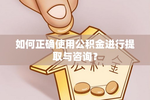 盐埔如何正确使用公积金进行提取与咨询？