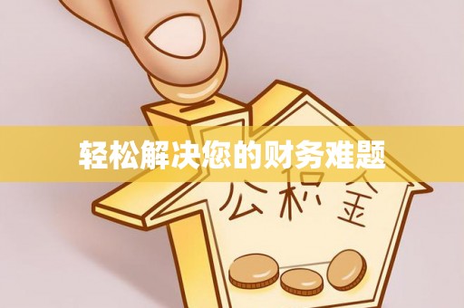 盐埔轻松解决您的财务难题