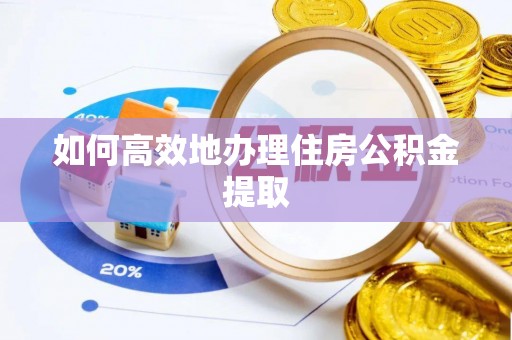 盐埔如何高效地办理住房公积金提取