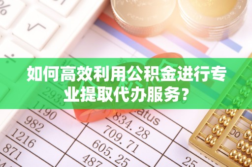 盐埔如何高效利用公积金进行专业提取代办服务？