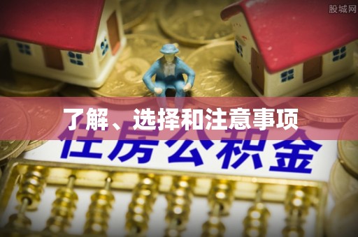 盐埔了解、选择和注意事项