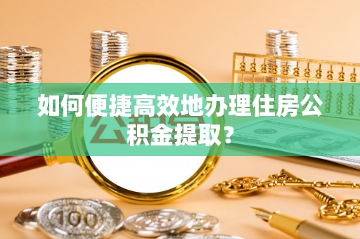 盐埔如何便捷高效地办理住房公积金提取？