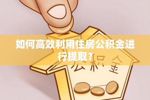 盐埔如何高效利用住房公积金进行提取？
