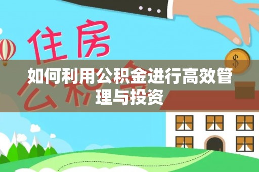 盐埔如何利用公积金进行高效管理与投资