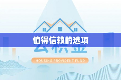 盐埔值得信赖的选项