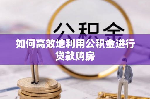 盐埔如何高效地利用公积金进行贷款购房
