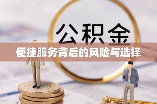 盐埔便捷服务背后的风险与选择