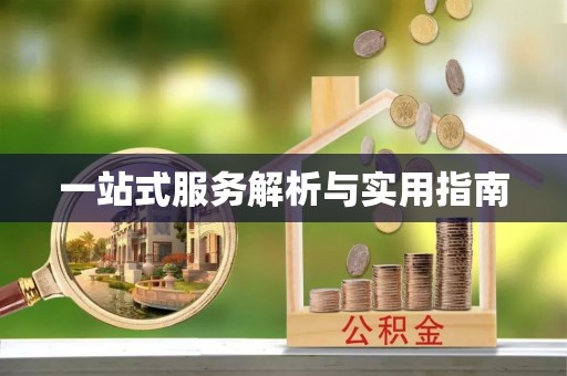盐埔一站式服务解析与实用指南