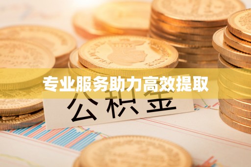 盐埔专业服务助力高效提取
