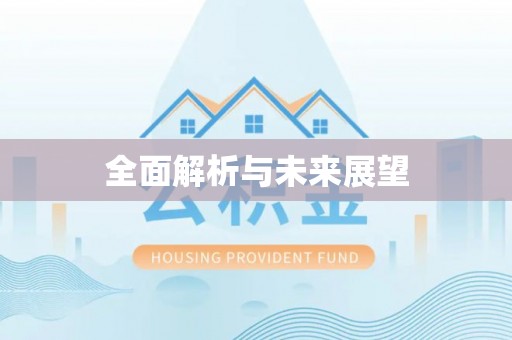 盐埔全面解析与未来展望