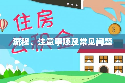 盐埔流程、注意事项及常见问题