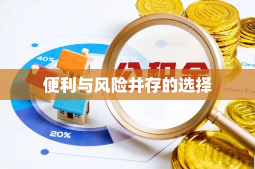 盐埔便利与风险并存的选择