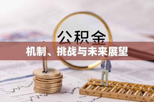 盐埔机制、挑战与未来展望