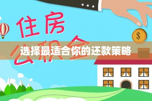 盐埔选择最适合你的还款策略