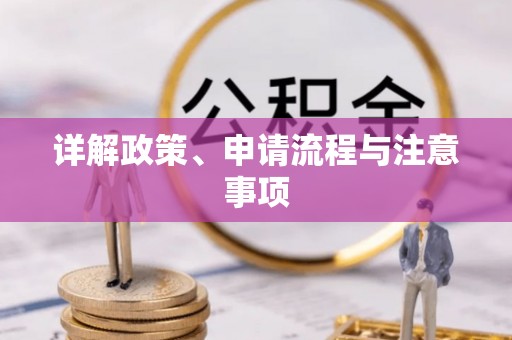 盐埔详解政策、申请流程与注意事项