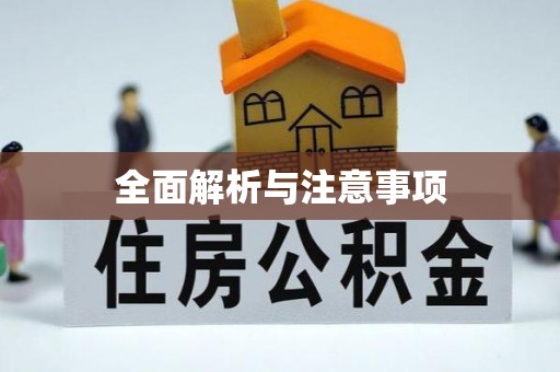 盐埔全面解析与注意事项